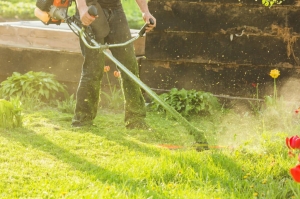5 Possible Outcomes of Hiring Professional Lawn Care Services